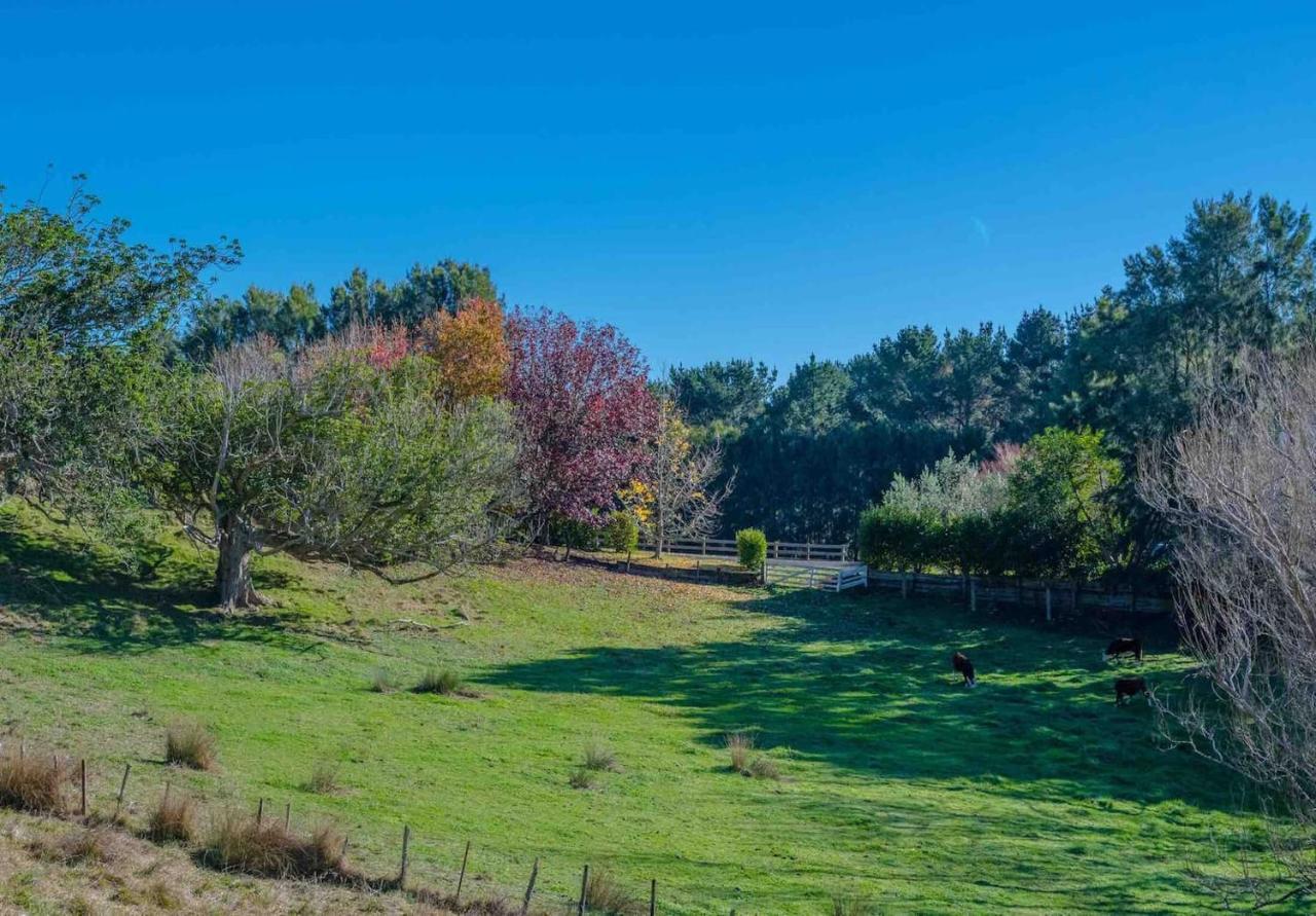 Cosy Lifestyle Cottage Perfect Getaway Pukekohe Exterior foto